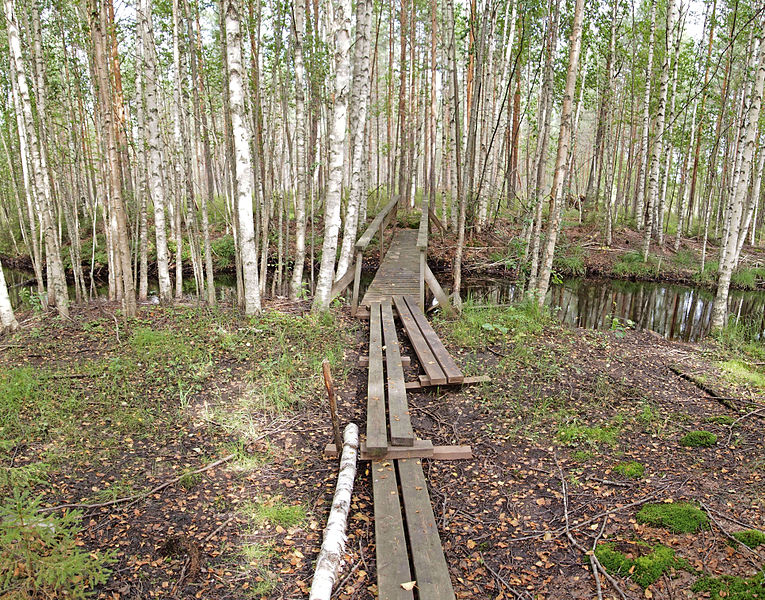 File:Keskisenlampi nature trail.jpg