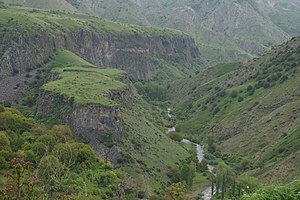 Հայաստանի Անտառներ