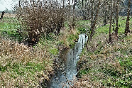 Kleingöhren (Lützen), die Rippach