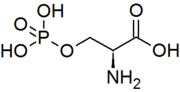 Skeletal formula