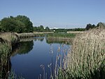 Parc des Chanteraines