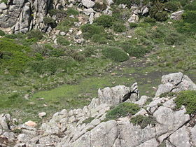 Illustrasjonsbilde av artikkelen Monte Tignoso Lake