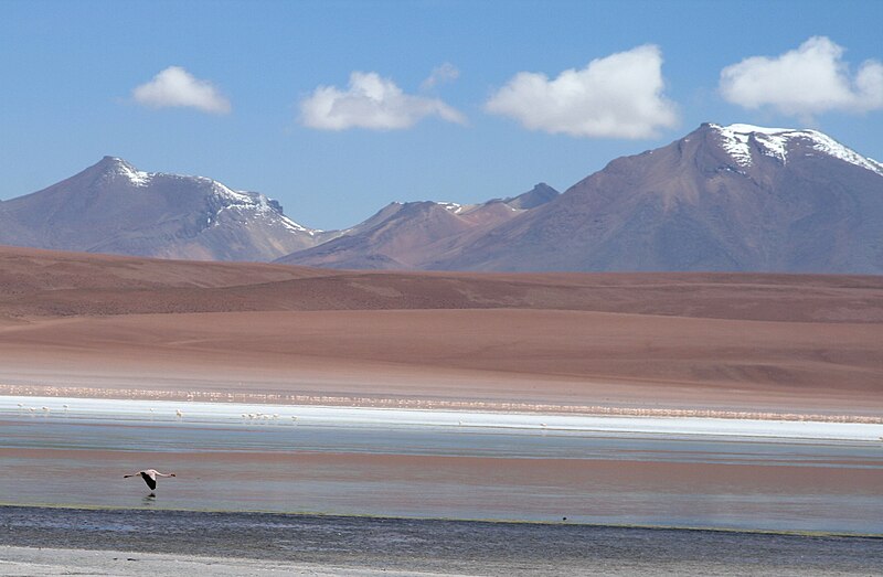 File:Laguna Kara, Uyuni, Bolivia.jpg