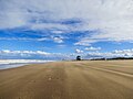 Miniatura para Las Gaviotas