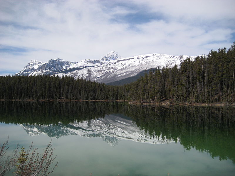 File:Leach Lake, Alberta (5808755195).jpg