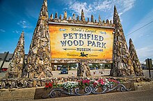 The world's largest petrified wood park