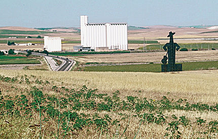 Jerez de la Frontera (comarca Campiña de Cádiz - Cadis), 15 de juny de 2000