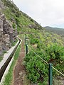 Levada do Caniçal, Parque Natural da Madeira - 2018-04-08 - IMG 3412.jpg