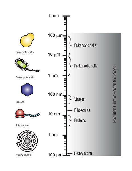 File:Limits of Electron Microscope-1.pdf