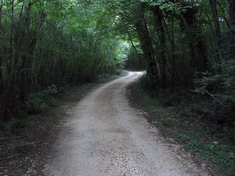 File:Limski kanal bike route - panoramio (1).jpg