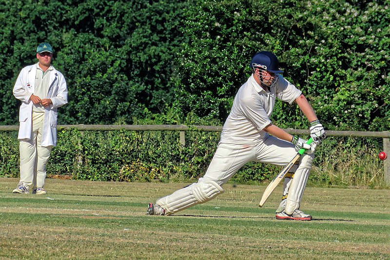 File:Little Hallingbury CC v. Thorley CC at Gaston Green, Essex 105.jpg