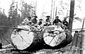 Loggers on two large logs with bull block cable system set, ca 1912 (PICKETT 791).jpeg