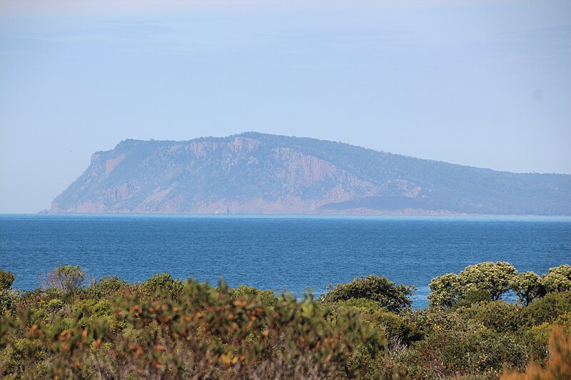 File:Looking towards Fluted Cape and Adventure Bay - Cape Queen Elizabeth Track (33786312621).jpg