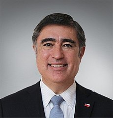 Former Minister of Defense Mario Desbordes (RN)