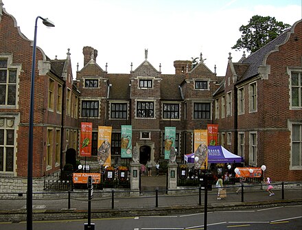 Maidstone Museum
