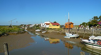 Le marais de la Seudre à Mornac en Charente-Maritime.