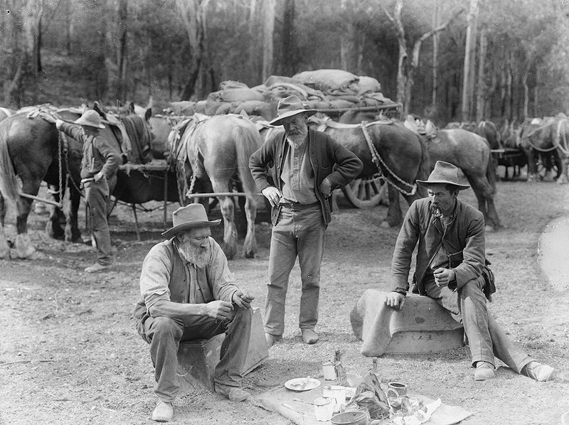 File:Meal break for teamsters and horses from The Powerhouse Museum Collection.jpg