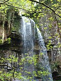 Thumbnail for File:Melincourt Falls Nature Reserve, Wales - 5722714187.jpg