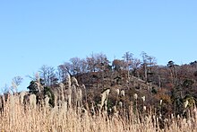 Mendori Nagayama Kofun.jpg