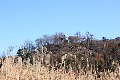 免鳥長山古墳