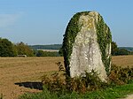 Menhir von Lann Douar