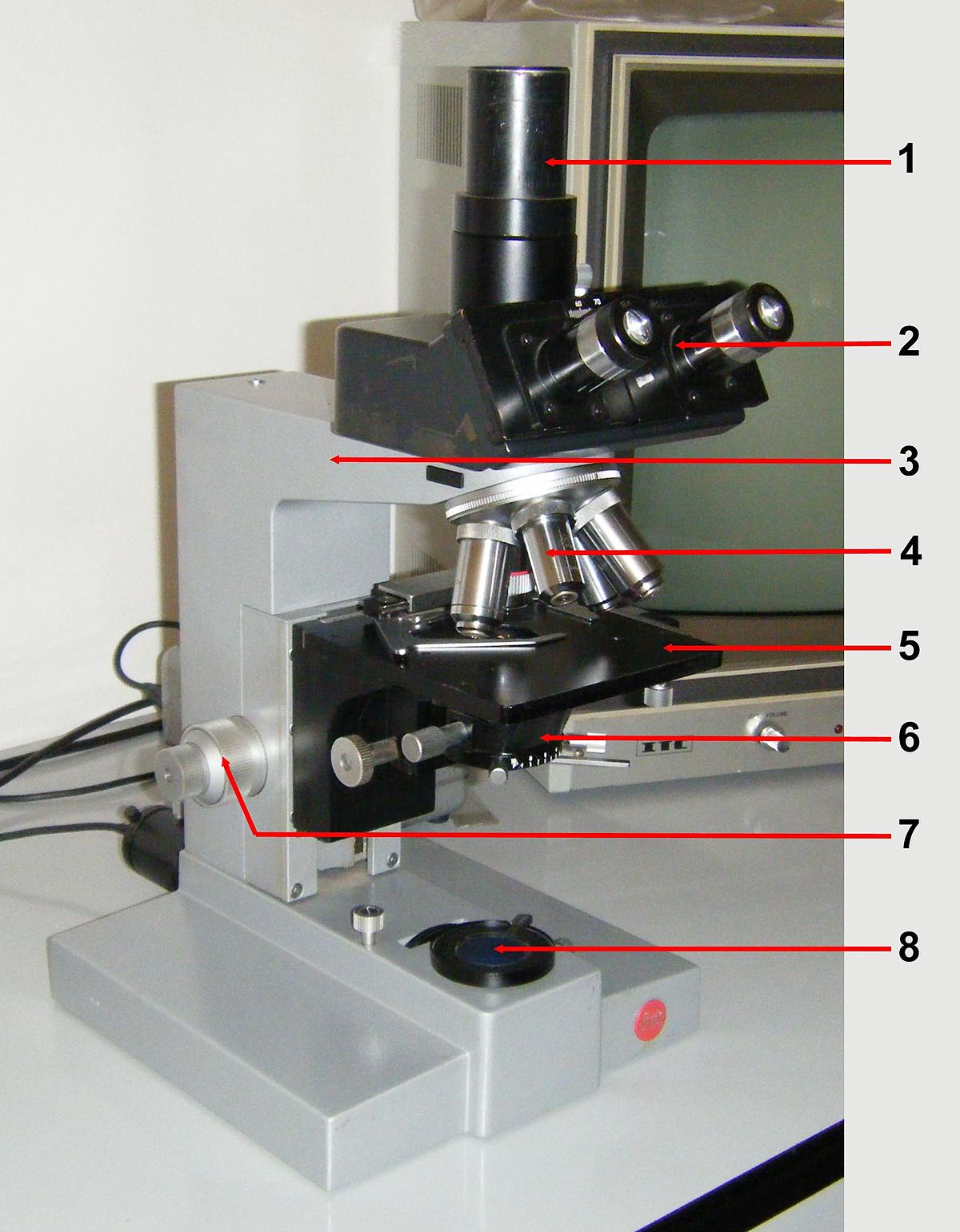 Microscopio ottico - Wikipedia