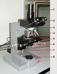 Schema dei raggi nel microscopio elettronico e nel micros