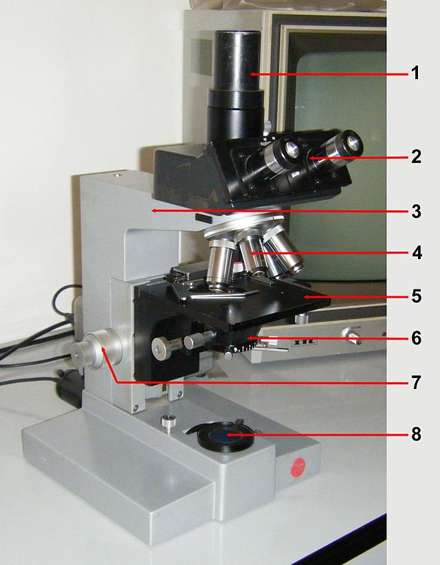 Il Microscopio ottico a luce polarizzata