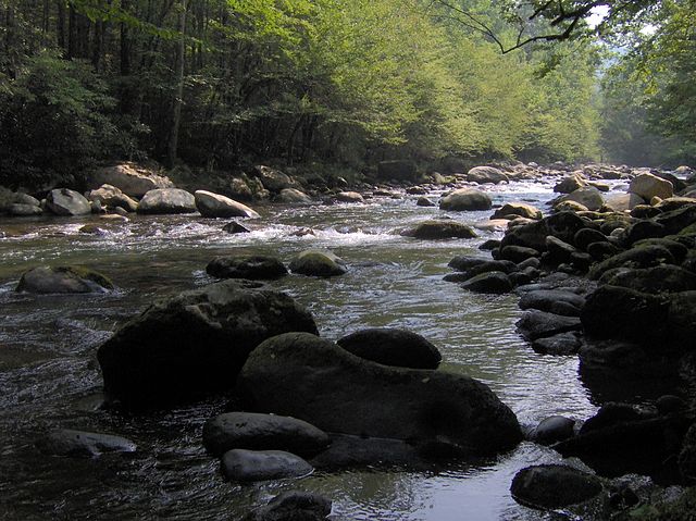 File:Middle-fork-of-pigeon-river2.jpg