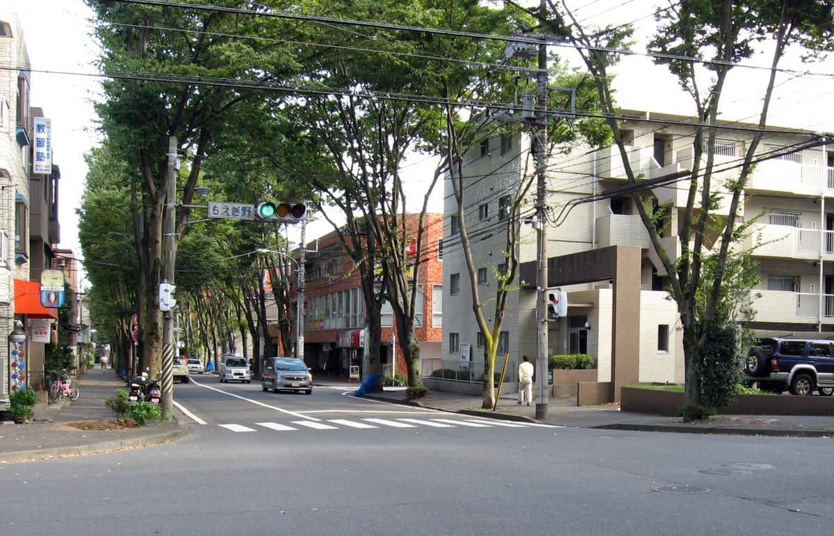 もえぎ野 横浜市 Wikipedia