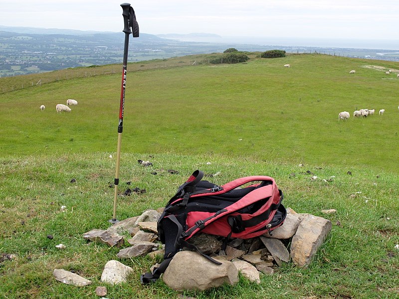 File:Moel Maenefa - geograph.org.uk - 3362862.jpg