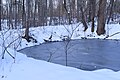 Monroe, Webb Mountain Park Discovery Zone, Classroom Court pond.