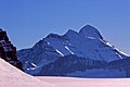 Mt Bryce from Columbia Icefield.jpg