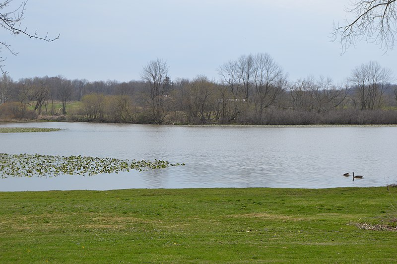 File:Mud Lake, Bailey Lakes.jpg