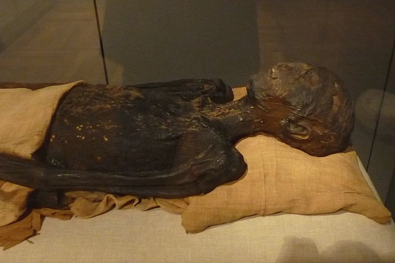 File:Mummy princess Ahmose Turin.JPG