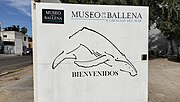 Miniatura para Museo de la Ballena y Ciencias Del Mar