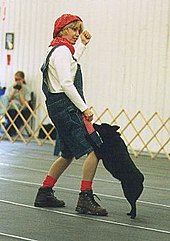 World Canine Freestyle Organization events offer divisions for 'Heelwork to music' and 'Musical freestyle'. Musical canine freestyle 2.jpg