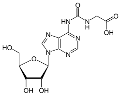 Structuurformule van N6-glycinylcarbamoyladenosine