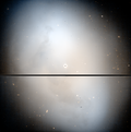 Miniatura per NGC 1360
