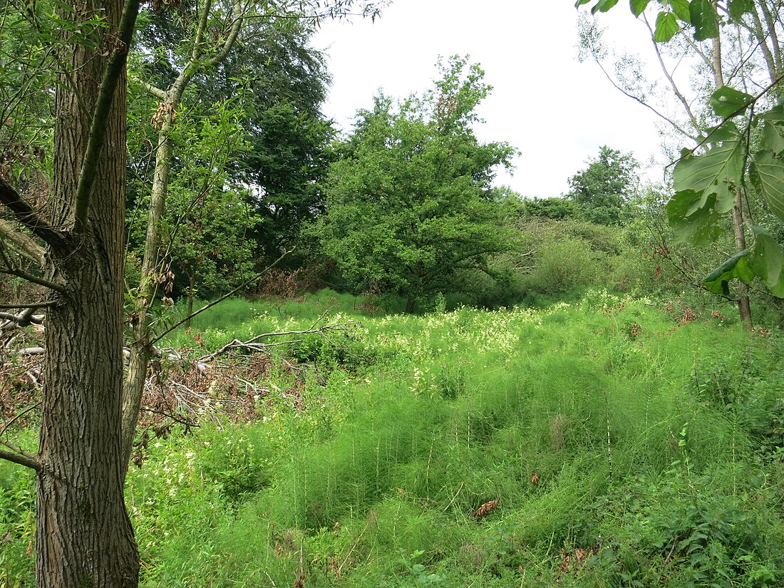 Naturschutzgebiet Kamptal