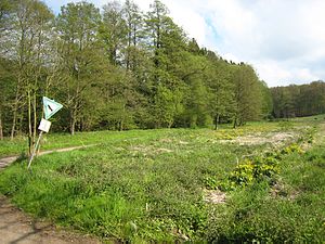 At the entrance to the Käsbachtal