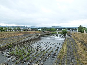 奈井江川