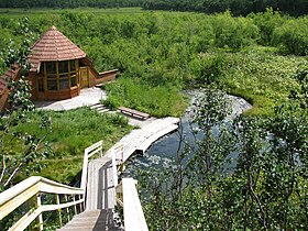 Una de las fuentes termales en la parte central del parque Nalychevo