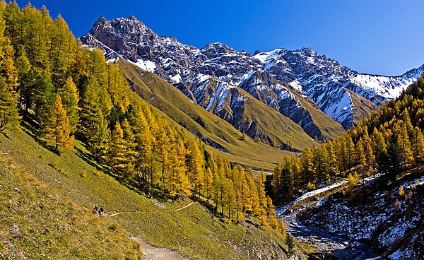 Val Trupchun in the Swiss National Park