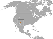 New Mexico Shrew daerah.png