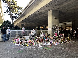 <span class="mw-page-title-main">Murder of Nia Wilson</span> 2018 murder and assaults in Oakland, California