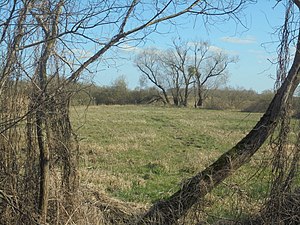 Meadows and trees in the south of the nature reserve