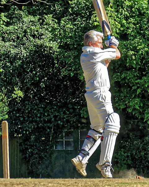 File:Nuthurst CC v. Henfield CC at Mannings Heath, West Sussex, England 080.jpg