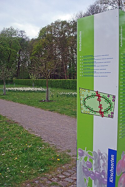 File:Obstgarten-guetersloh.jpg