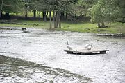 Offroad Safari v ZOO Dvůr Králové 28.5.2016